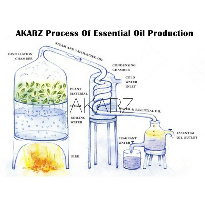 Minyak esensial Frankincense AKARZ, minyak esensial Perawatan Kulit Wajah tubuh Spa Pesan aroma lampu aroma aromaterapi minyak wangi