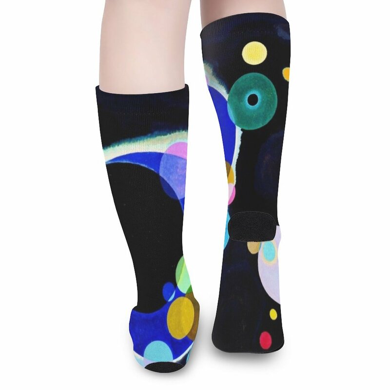 Several Circles Wassily Kandinsky Abstract Art Socks Stockings man funny gifts