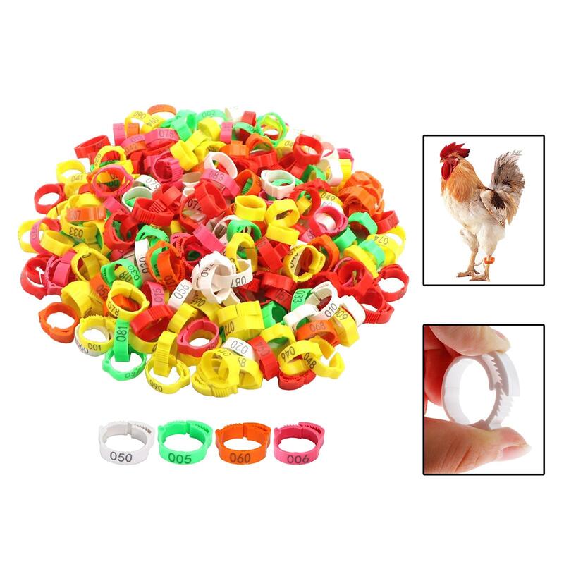 100x Chicken Identification Band Poultry Foot Bands for Pigeon Chickens