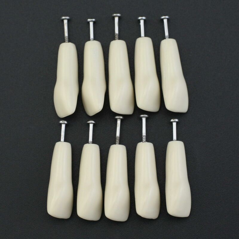 10pc/lot Dental Replacement Teeth Model For Columbia 860 Type Typodont #11 #13
