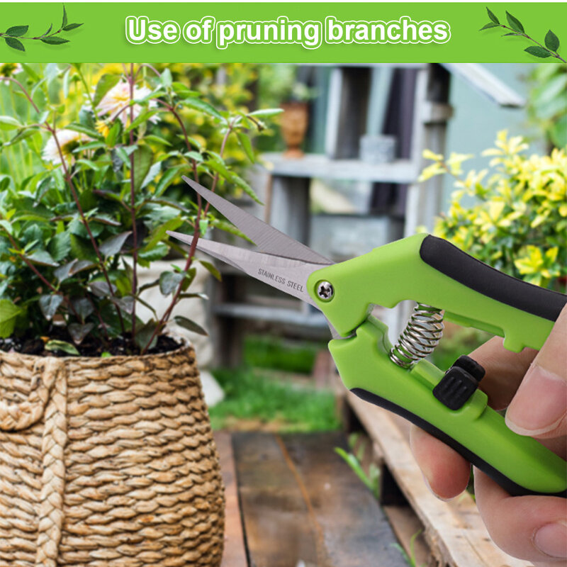 ガーデニングプルーニング剪定ばさみ、ガーデンツール、剪定ばさみ、盆栽scissor、ツール、グレープフルーツ、ブドウの木、鉢植え、家庭