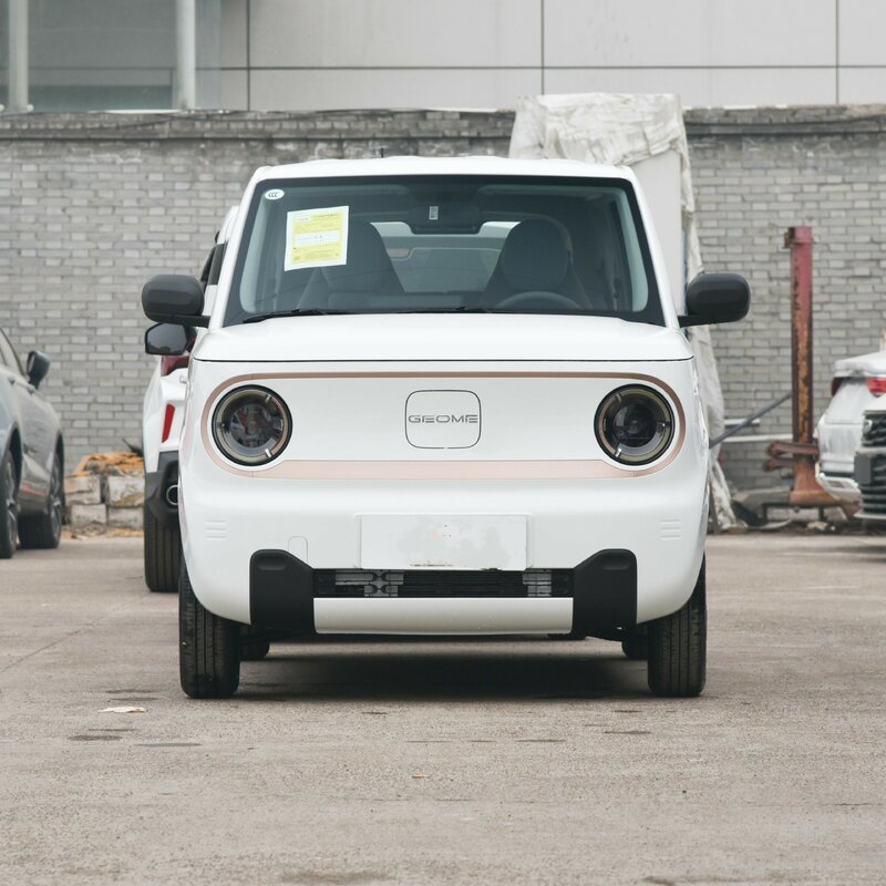 Panda Mini Ev Fabriek Prijs 200Km Lange Range Nieuwe Elektrische Auto Voor Geely Panda Mini