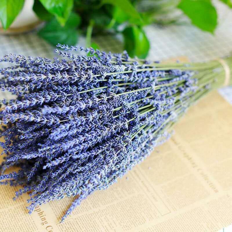 1 Box Fragrant Natural Dried Lavender  No Watering Decorative Dried Flower Bundle  No Wither Refreshing Natural Dried Lavender