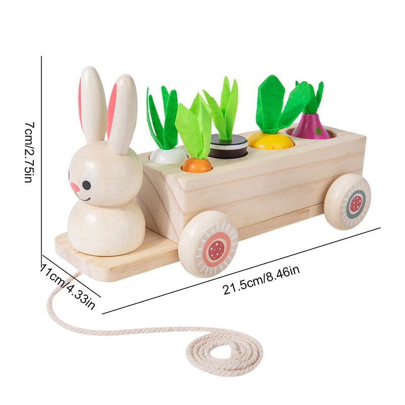 Juguetes Montessori para niños de 1 año, cosecha de zanahoria, regalo de Desarrollo Infantil, forma de agarre fácil, juguete Montessori para 2