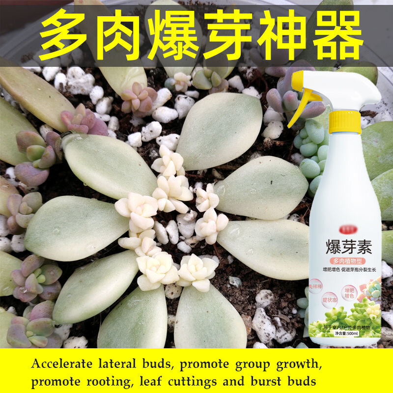 Succulent Plant Bursting Element Foliar Fertilizer Fattening, Coloring, Promoting Growth, Bursting Buds, Nutrient Solution 500ml