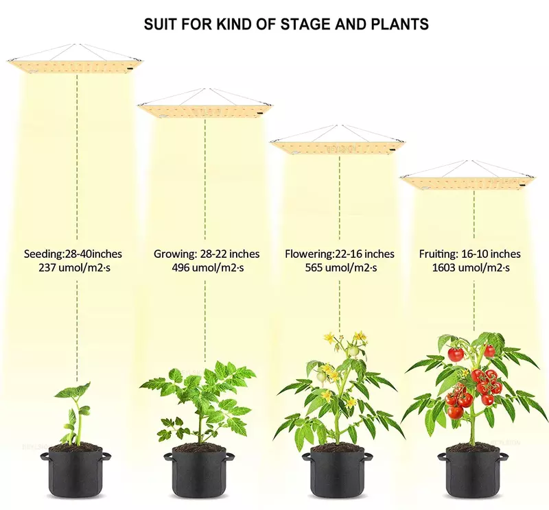 Новинка, тент BEYLSION для выращивания растений, полный набор, 850WSCP Samsung, светодиодные светильники для выращивания, набор фильтров для гидропоники, система выращивания растений