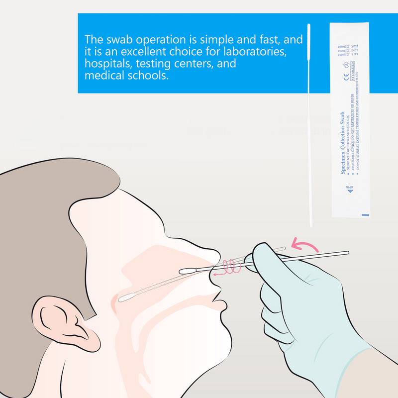 Kain penyeka hidung mulut Oral nasopyngeal steril Sampling sekali pakai tenggorokan katun tes Swabstick terkunci pembersih aplikator