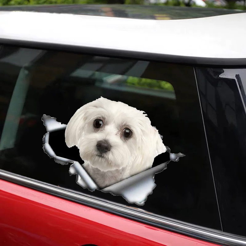 Calcomanía autoadhesiva 3D de perro maltés, pegatina impermeable para coche, decoración automática para parachoques, ventana trasera, portátil