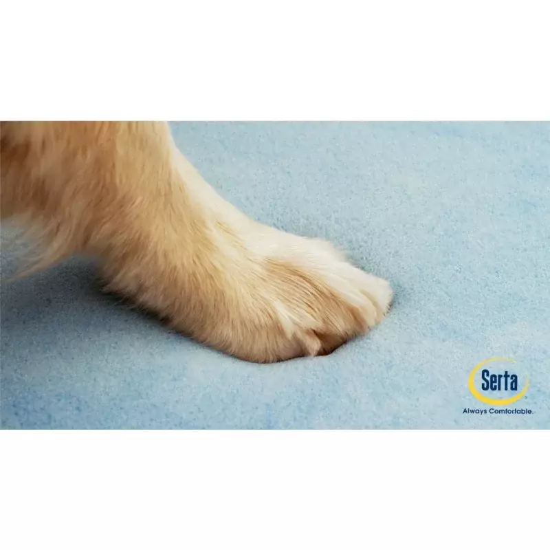ที่นอนสุนัขขนาดเล็กสีน้ำตาลสีน้ำตาลสำหรับโซฟาแบบโฟมจำรูปของ Serta