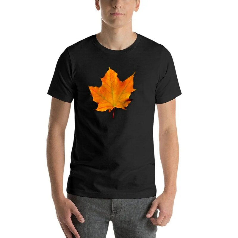 Jesienna koszulka z liśćmi klonu, urocze topy, zwierzęca grafika dla chłopców, t-shirty dla mężczyzn