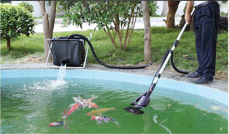 Sistema de filtración para estanque de peces, limpiador de vacío para piscina, Koi