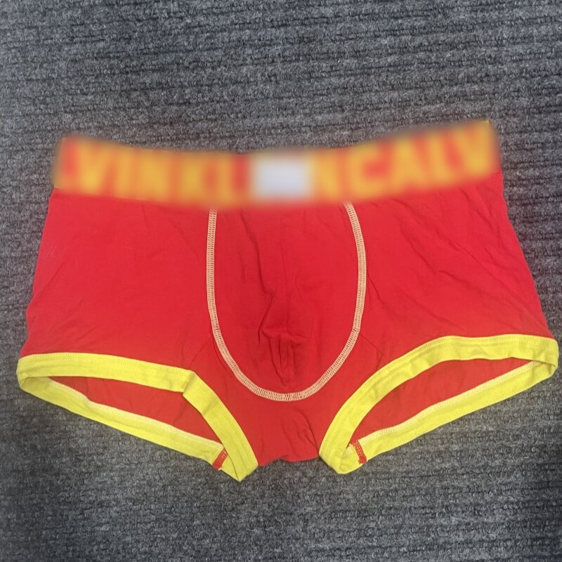 5pcs/lot Men's panties boxer hombre Modal Men underpants comfortable boxers mens luxury underwear for men