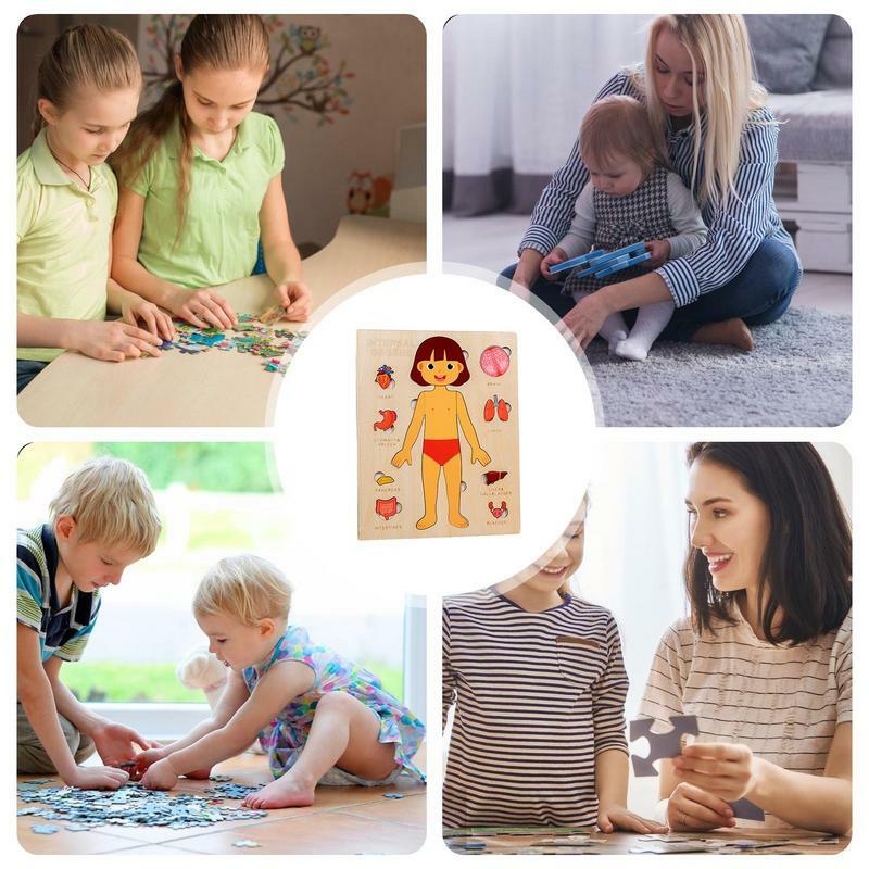 Puzzle tubuh manusia, mainan pendidikan aman tahan lama, mainan Puzzle anatomi kayu montesori untuk anak-anak, mainan pembelajaran warna-warni