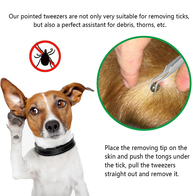 Kwaliteit Roestvrij Staal Huisdier Vlo Remover Tool Krassen Haak Pincet Clips Set Kat Hond Tick Removal Tool Pet Grooming Supplies