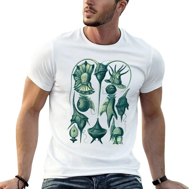 Ernst-Camiseta verde azulado de gran tamaño para hombre, ropa vintage, Haeckel, Peridinea, Plankton
