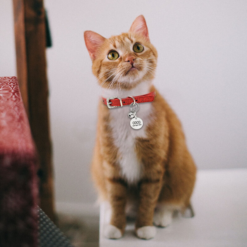 Collar de cuero con campana para gato, Collar personalizado con nombre de identificación para gatos, cachorros, perros pequeños, accesorios para gatitos, Chuahua, XS S