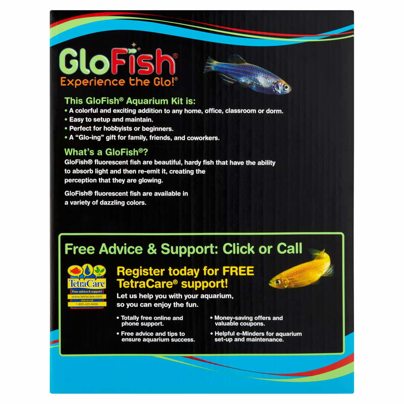 GloFish Betta Glass Aquarium Kit 1.5 Gallons, Easy Setup and Maintenance, Perfect Starter Tank