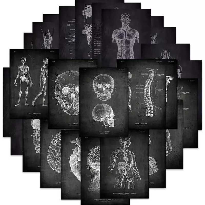 25 stücke anatomische Skelett Tafel Aufkleber für Laptop PVC Wasser flasche Spielzeug Medizin Student Geschenke wasserdicht Aufkleber