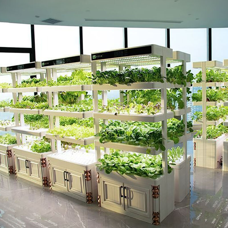 Sistem Pertumbuhan Hidroponik Cerdas Penanam Sayuran Sistem Pertumbuhan Hidroponik Di Dalam Ruangan Taman Rumah Kaca Pekebun Vertikal Besar