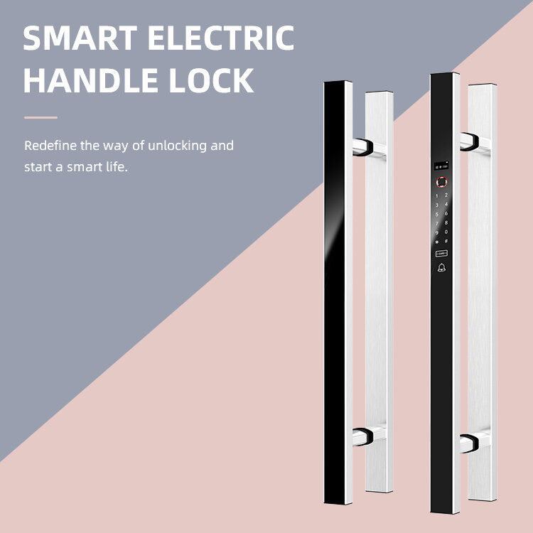 Serratura elettrica intelligente a doppia porta da 60CM serratura silenziosa serratura antifurto per porte di sicurezza per ufficio a casa