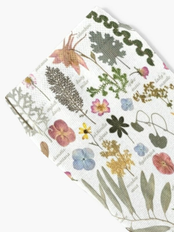 Sketchbook botânico pressionado meias flor jardim