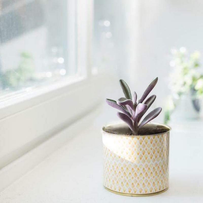 Faux succulente piante finte realistiche non in vaso carino finto floccato succulente testa in vaso per interni fai da te artigianato decorazioni per la casa