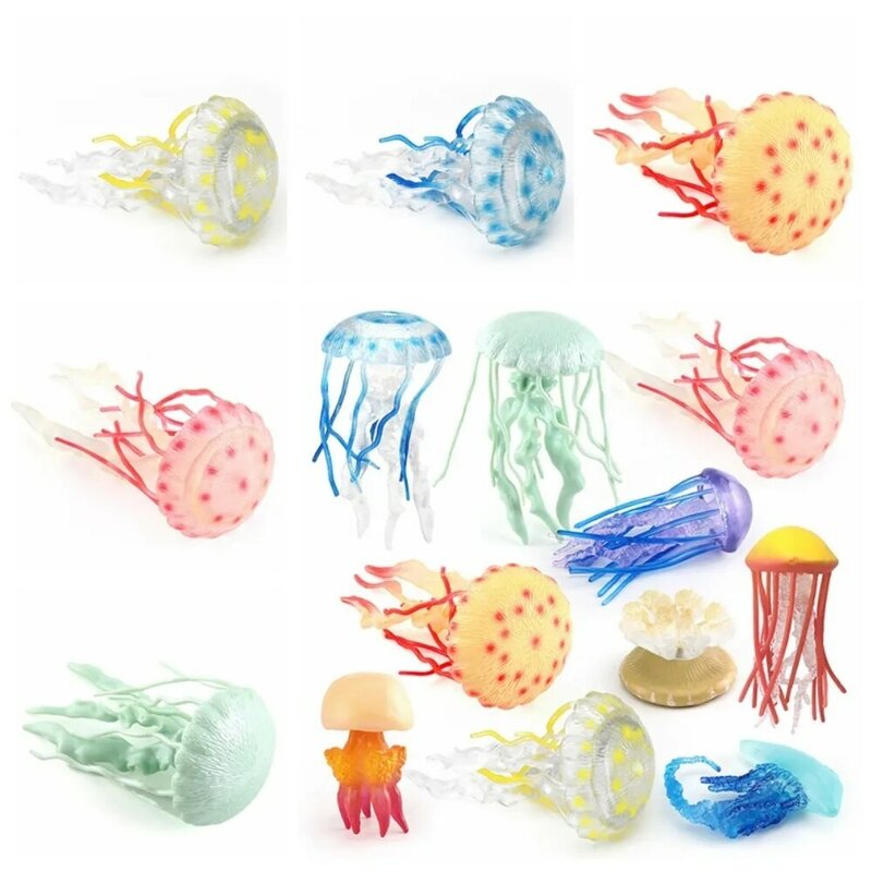 Solid Ocean Animal Figurine animali marini realistici figura d'azione oceanica realistica in plastica multicolore