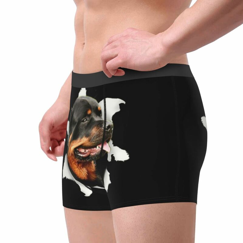 Male Cool Rottweiler Meme Underwear Boxer Briefs Men Soft Shorts Panties Underpants