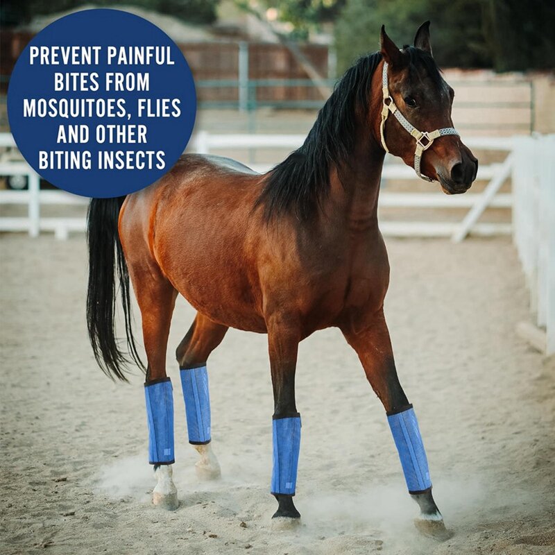 Bottes de cheval en maille respirante, enveloppes de jambe de cheval, legging de protection, prévention des mouches, 4 pièces