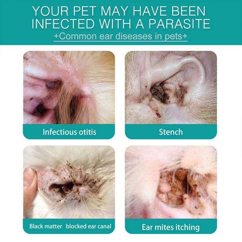 Ucho kota chusteczki 50 szt. Czyszczenie zębów nakładki na palce artykuły do pielęgnacji zwierząt domowych do usuwania wosku z uszu, a brud powstrzymuje śmierdzące swędzenie ucha