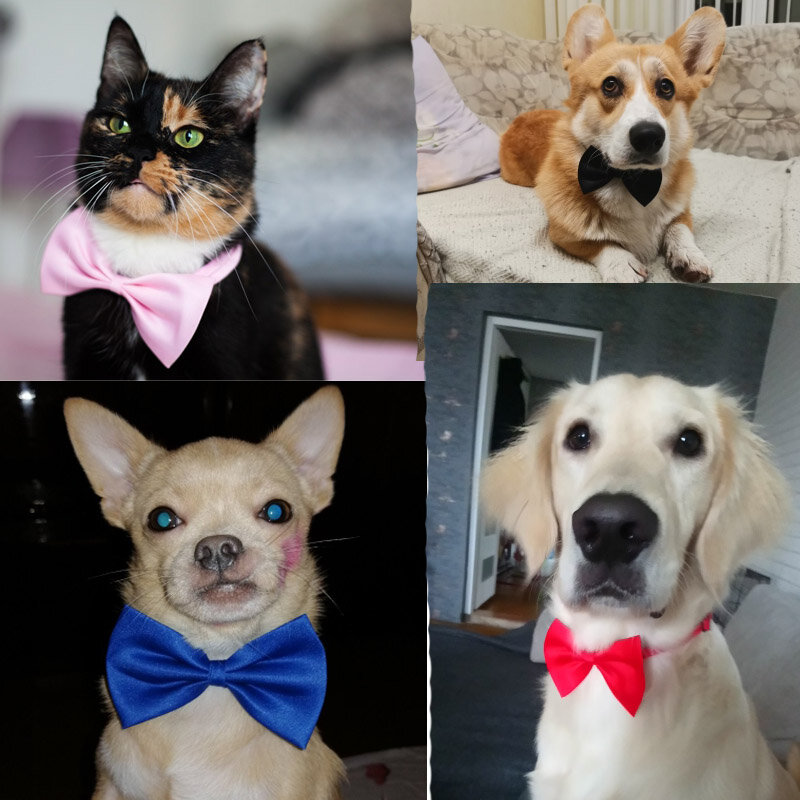 애완 동물 개 고양이 목걸이, 조절 가능한 목 밴드, 귀여운 나비 매듭, 애완 동물 관리 액세서리, 개 고양이 줄무늬 활 목걸이, 애완 동물 용품, 1 개