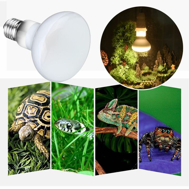 Pengendali temperatur kura-kura pemanas reptil lampu Basking bohlam Halogen cahaya UVA