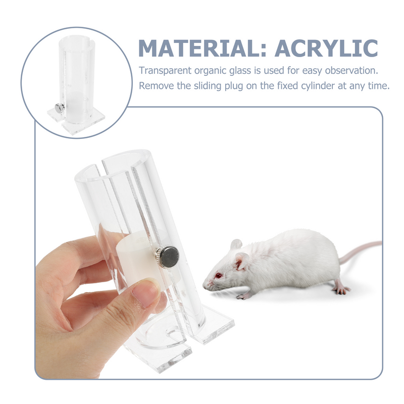 Tempat Mouse transparan, dudukan Mouse tabung tetap kaca organik, penahan tikus di kandang hewan