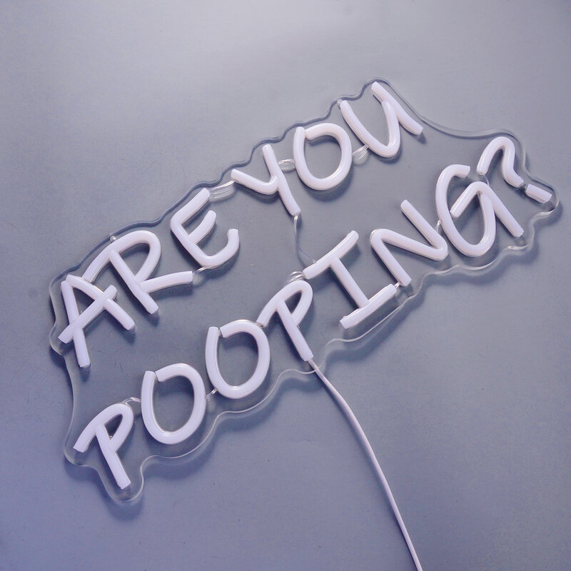 ARE YOU POOPING? Funny Letters Neon Signs White LED Light for Bathroom Toilet Restroom Wall Decoration USB/Dimmable Switch