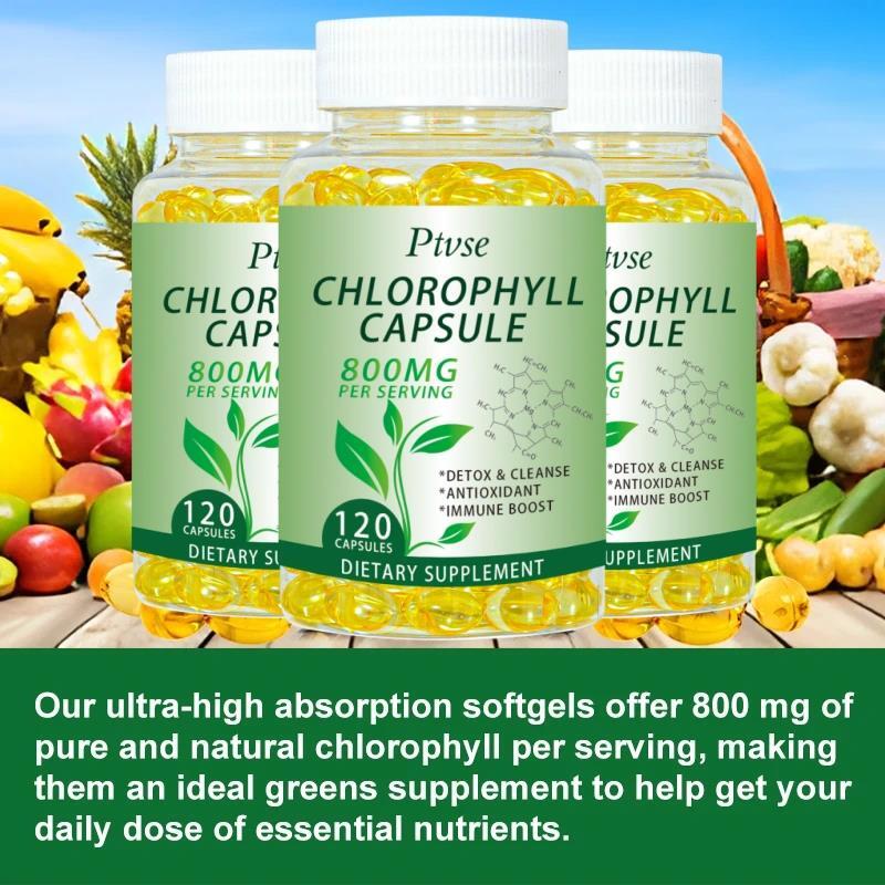 Ptvse Chlorophyll Capsules 800 mg - for Women & Men Highly BioAvailable Supplement for Energy, Immunity, Skin Internal Deodorant