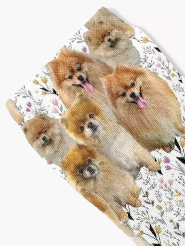 Meias Pomeranian Pattern para homens e mulheres, luxo, feliz