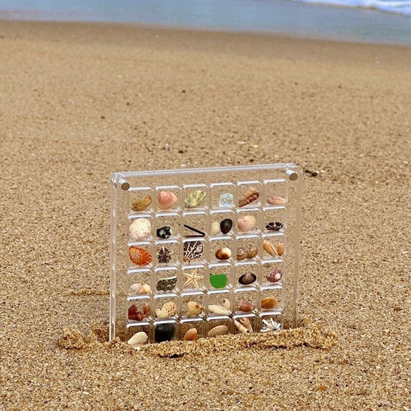 Caja de exhibición de conchas marinas acrílicas, organizador pequeño de 36/64/100 rejillas, organizador de artesanías