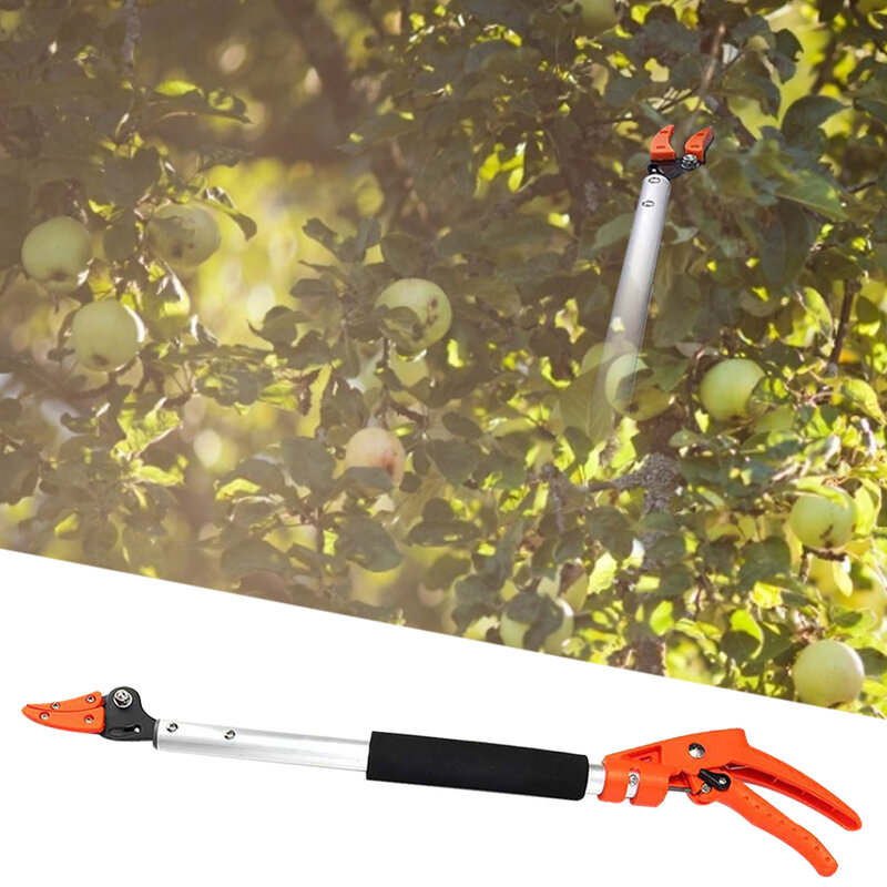 Extensão Branch Scissors, extensível Garden Tool, Tree Trimmer, Fruit Picker, Apple e Caqui Cortador