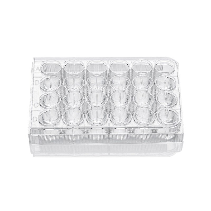 LABSELECT 24-plato de cultivo celular well, embalaje de papel y plástico, 11312
