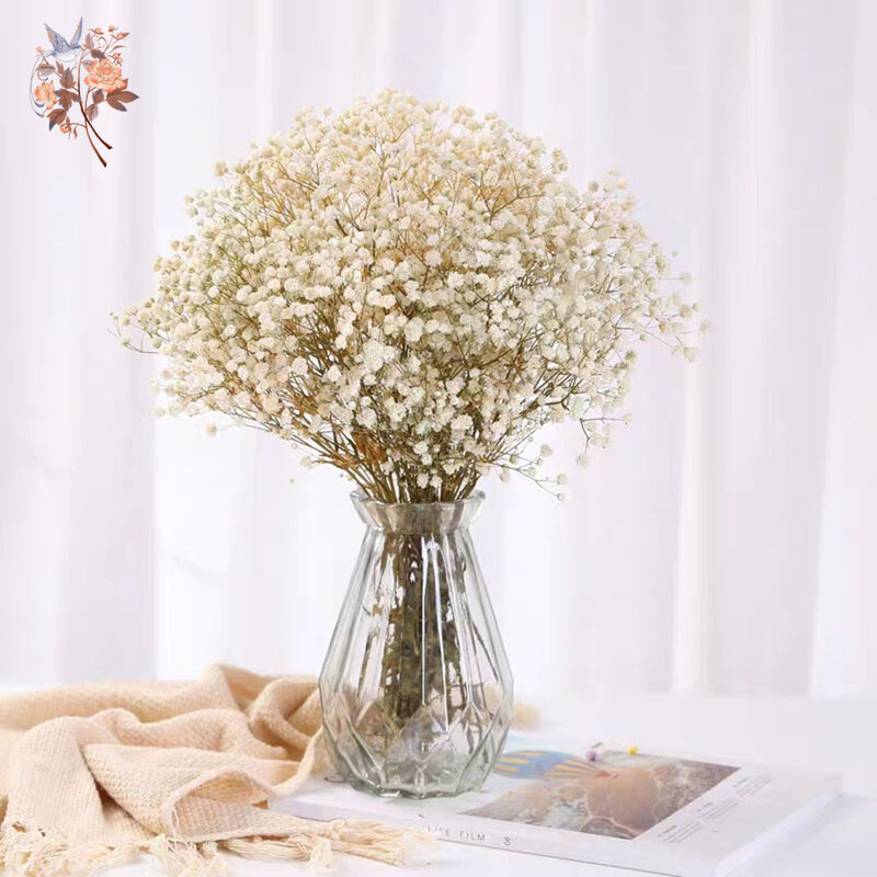 Ramo de flores secas para bebé, flores secas naturales de Gypsophila, Día de San Valentín, decoración de boda, Mesa del hogar, decoración de Navidad, 60g