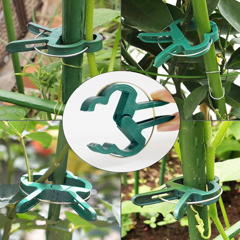 Plant Fixed Clips Reusable Garden Greenhouse Bracket for Fixed Plants Vine Flower Seedling Tomatoes Support Garden Supplies