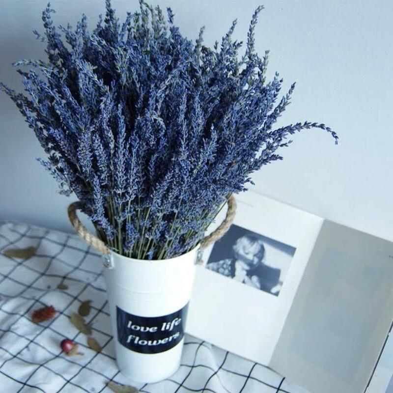 Dried Lavender Decor 1 Box Fragrant Fadeless Composed  Clean Air Dried Lavender Decor Natural Plants