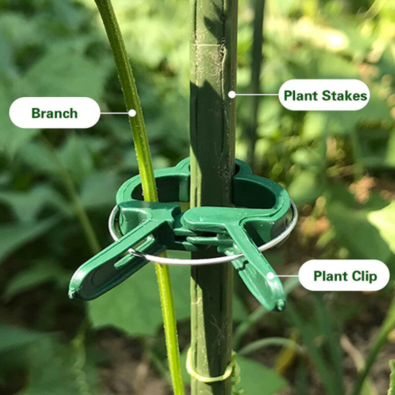 10-30 sztuk roślin zacisk mocujący doniczkowe gałęzie plastikowe akcesoria ogrodowe zestaw klip ogrodnictwo klip plantas accesorios