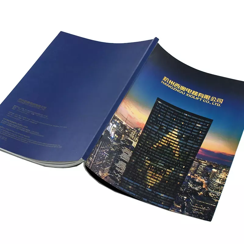 Op Maat Gemaakte Product. Hangzhou Fabriek Op Maat Gemaakte Afdrukservice Flyer Boekje Brochure, Promotie Catalogus Afdrukken