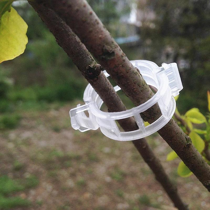 Plant Support Clips for Garden Tomato Vegetable Vines Upright and Make Plants Twine Clips Vine, Beans, Vegetables, Fruits, Rose.