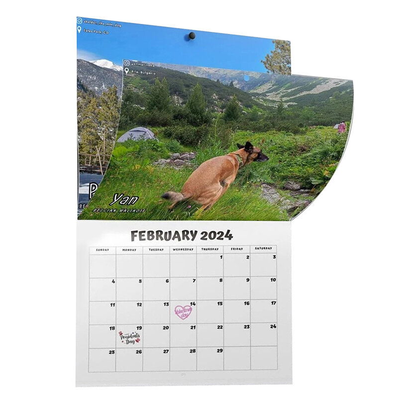 2024 Funny Dog Pooping calendario da parete calendario unico regalo per gli amici famiglia vicino collega parenti amati