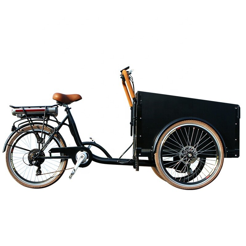 Triciclo de carga elétrica de alta qualidade para adultos, bicicleta familiar de 3 rodas, motor, 250W