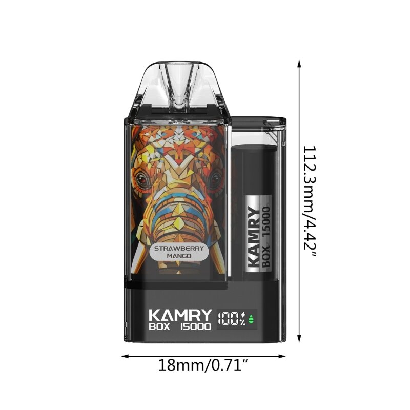 Wiederaufladbare LED-elektronische Zigaretten Kamry Box 15000Puffs Vapes 5% MeshCore 10 Flavour Original-Zerstäuber 500mAh