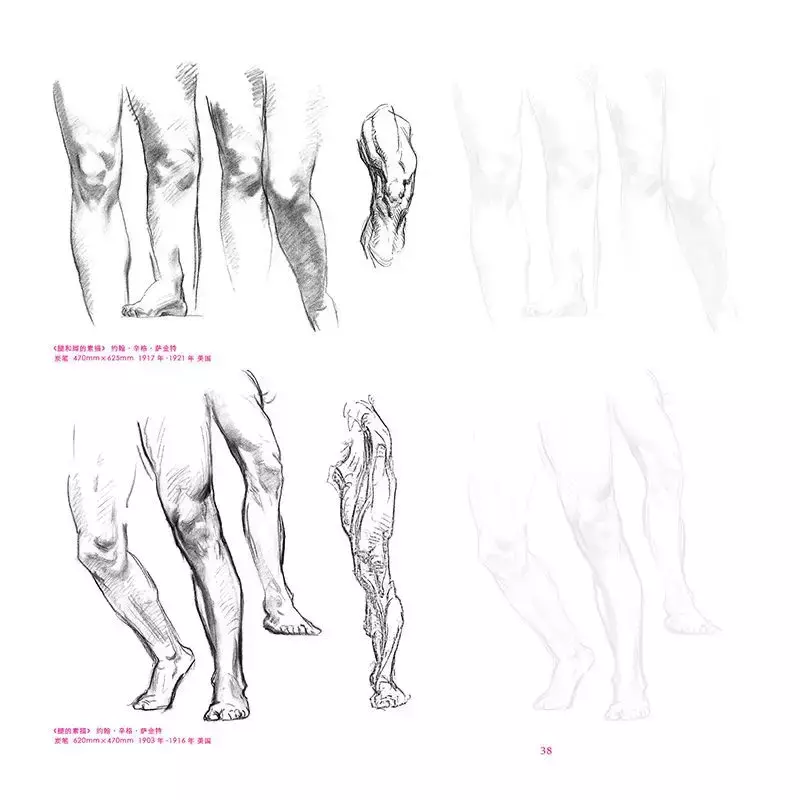 Character Sketch Drawing Structure Tutorial Learning Book Drawing Body Structure insegnamento Tracing Book