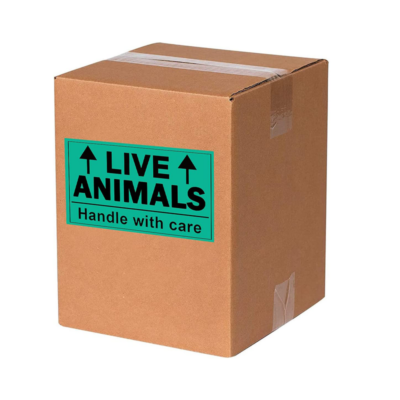 Animali vivi 2X3 pollici si prega di maneggiare con adesivi per la cura, adesivi per etichette di spedizione fragili fluorescenti per la spedizione e l'imballaggio